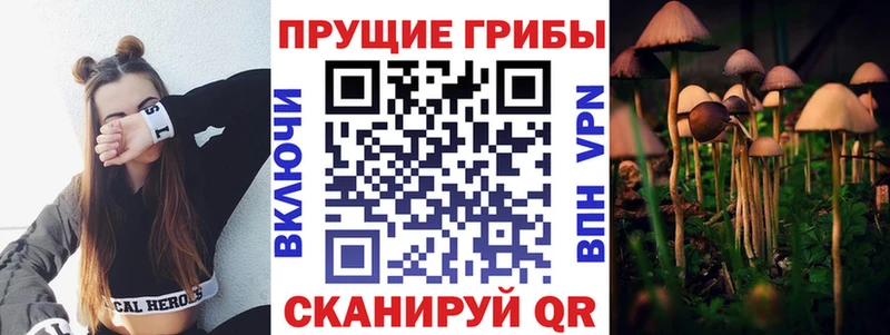Галлюциногенные грибы мухоморы  hydra рабочий сайт  Болхов 